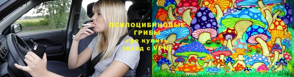 дурь Балахна
