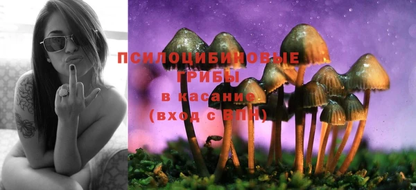 винт Баксан