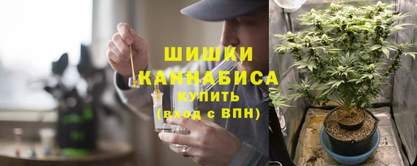 винт Баксан